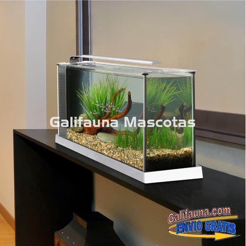 NANO ACUARIO FLUVAL SPEC 19 litros. Elegancia y diseño en un práctico acuario. - Imagen 1