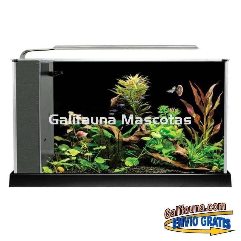 NANO ACUARIO FLUVAL SPEC 19 litros. Elegancia y diseño en un práctico acuario. - Imagen 2