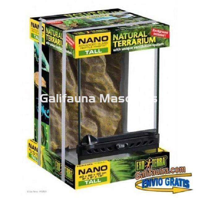 Nano Terrario de cristal Exoterra. Terrarios para Reptiles, Anfibios e invertebrados. - Imagen 3