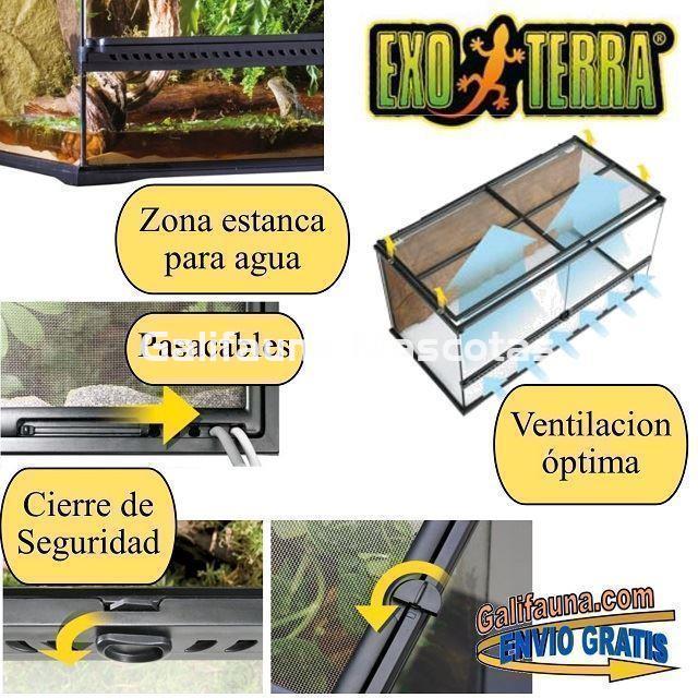 Nano Terrario de cristal Exoterra. Terrarios para Reptiles, Anfibios e invertebrados. - Imagen 4