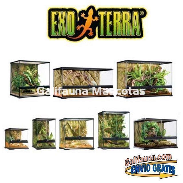 Nano Terrario de cristal Exoterra. Terrarios para Reptiles, Anfibios e invertebrados. - Imagen 6