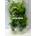 Pack de 2 Plantas de plástico 11 cm. para acuario. Decoración Acuarios. - Imagen 2