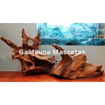 PACK de 2 Raices de Manglar gigante, unidad. - Imagen 1