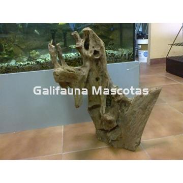 PACK de 2 Raices de Manglar gigante, unidad. - Imagen 2