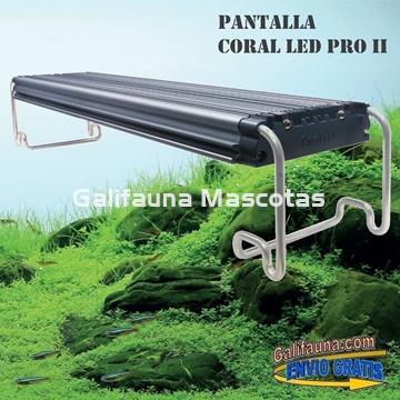 Pantalla iluminación de altas prestaciones Coral LED PRO II. - Wifi - Inoxidable - Imagen 1