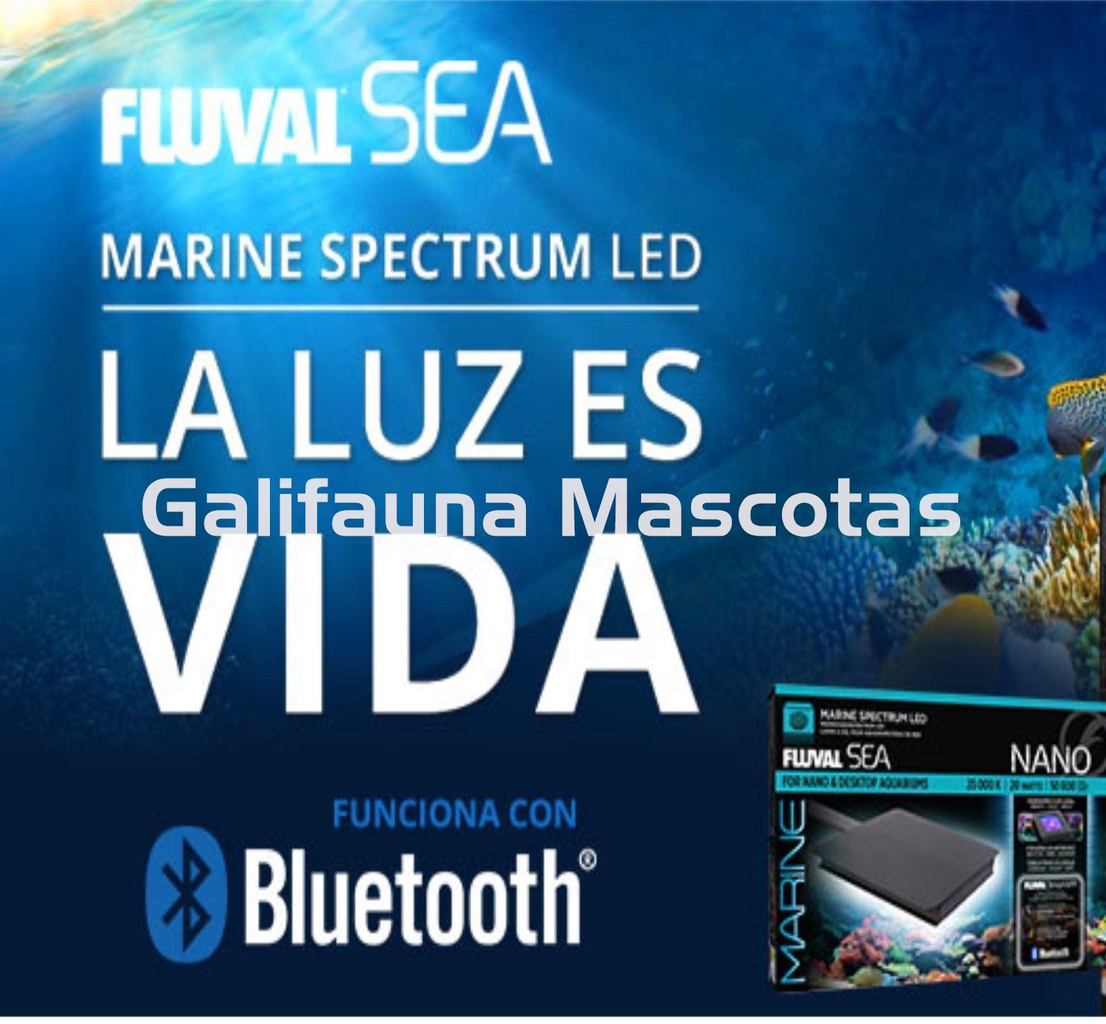 PANTALLA LED BLUETOOTH FLUVAL SEA MARINE SPECTRUM 3.0. Marino. APP Fluval. Brazos extensibles. - Imagen 8