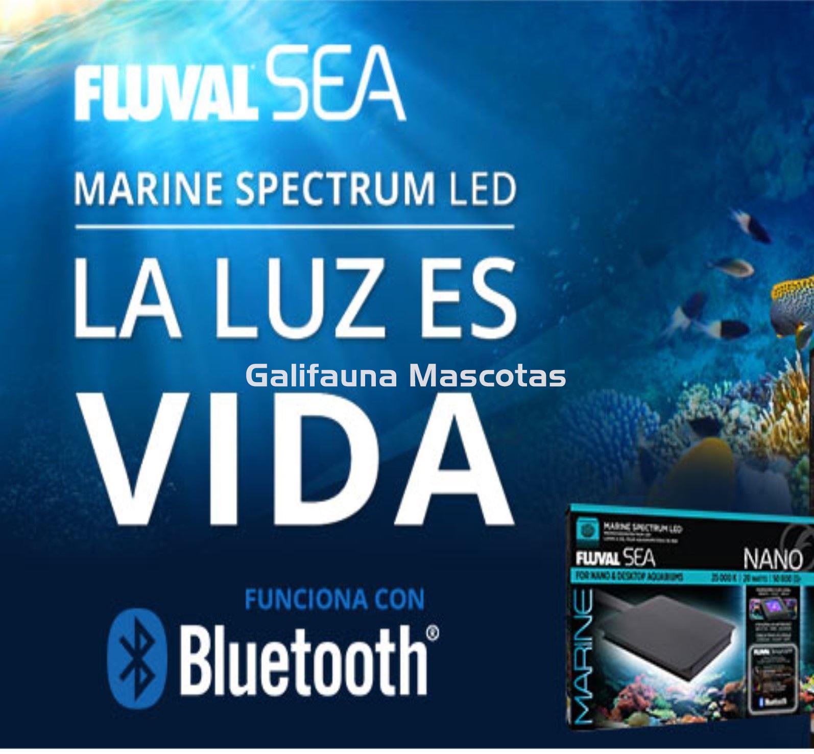 PANTALLA LED BLUETOOTH FLUVAL SEA MARINE SPECTRUM 3.0. Marino. APP Fluval. Brazos extensibles. - Imagen 8