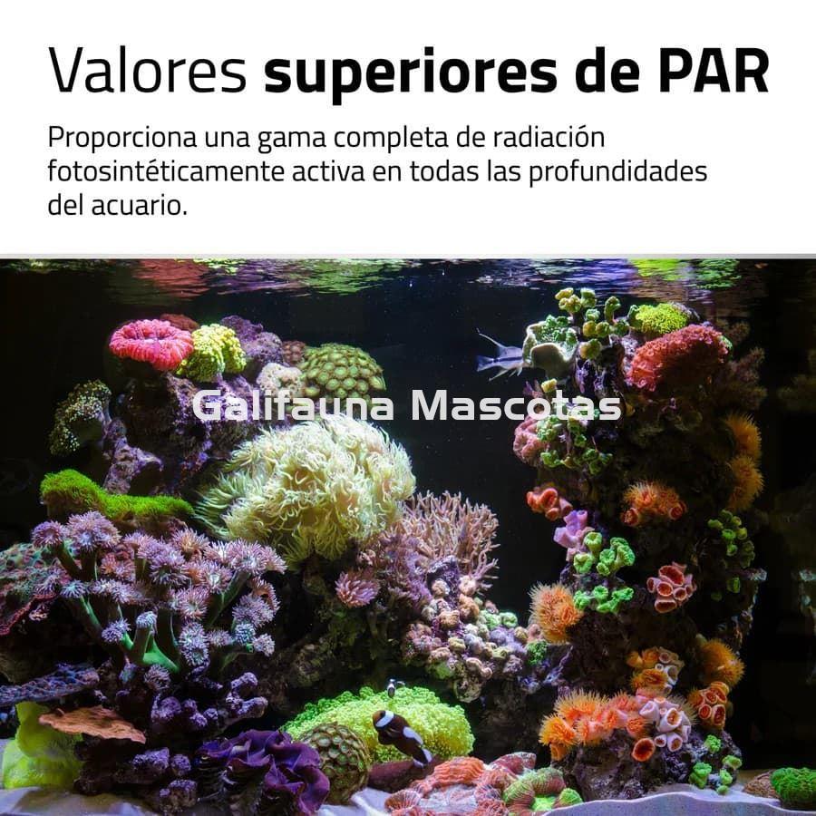 PANTALLAS DE ILUMINACIÓN REEF 4.0 - Imagen 6
