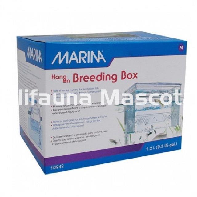 Paridera exterior CAJA DE CRÍA BREEDING BOX MARINA. - Imagen 4