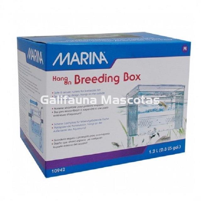 Paridera exterior CAJA DE CRÍA BREEDING BOX MARINA. - Imagen 4