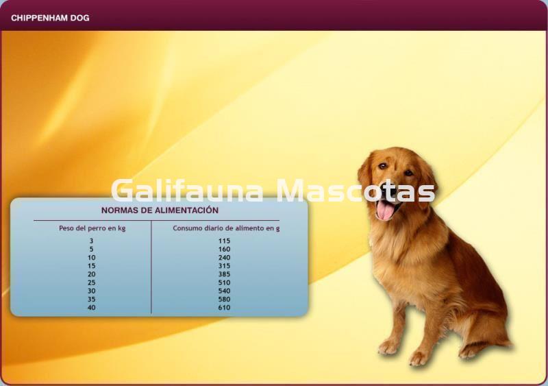 Pienso Chippen Ham Dog adulto 20 kg. Calidad a buen precio. - Imagen 2