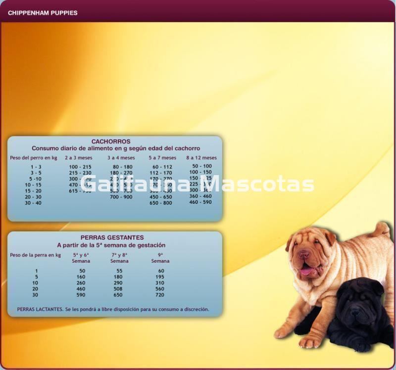 Pienso Chippen Ham Puppie 20 kg. Calidad a buen precio. - Imagen 2