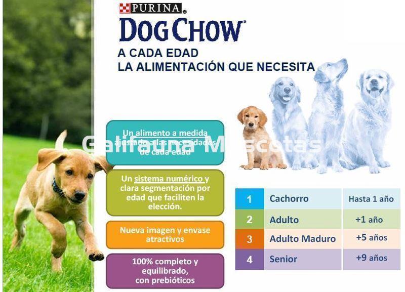 Pienso DOG CHOW Active Pollo. Altos niveles de energía. - Imagen 2