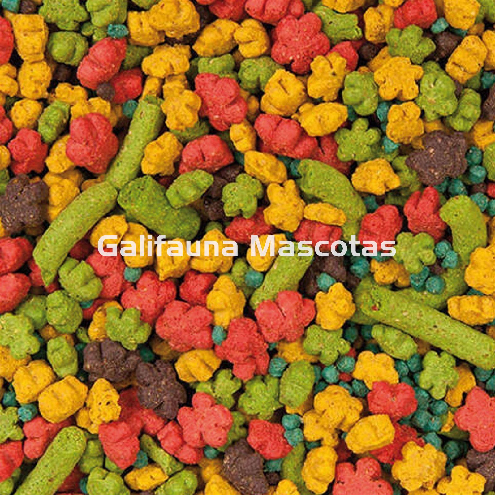 Pienso Multifrutas KAYTEE EXACT RAINBOW. Grano Pequeño. Alimento para Ninfas, Cotorras, Agapornis. - Imagen 2