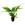Planta natural Helecho de Java (Microsorium pteropus). - Imagen 1