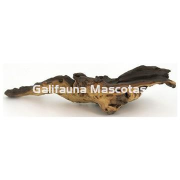 Raiz bicolor. Unidad. - Imagen 1