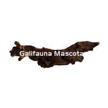 Raiz bicolor. Unidad. - Imagen 2