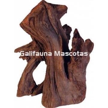 Raiz de Manglar gigante, unidad. - Imagen 1