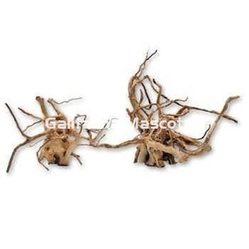 Raiz del desierto Unidad. Varios tamaños. - Imagen 1