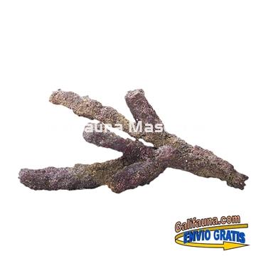 Roca para acuario marino CaribeSea.  LifeRock: Belize Brench - Imagen 2