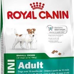 Royal Canin Mini Adult.  Pienso para perro razas pequeñas - Imagen 1