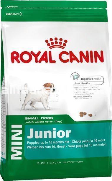 Royal Canin Mini Junior. Pienso para cachorro razas pequeñas - Imagen 1