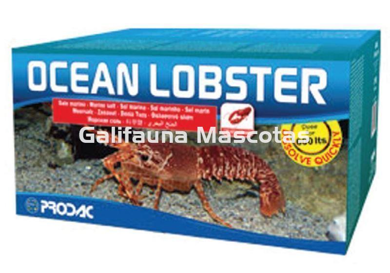 Sal marina ESPECIAL CRUSTACEOS para acuarios de agua salada. - Imagen 1