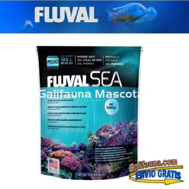 SAL MARINA FLUVAL SEA. - Imagen 2