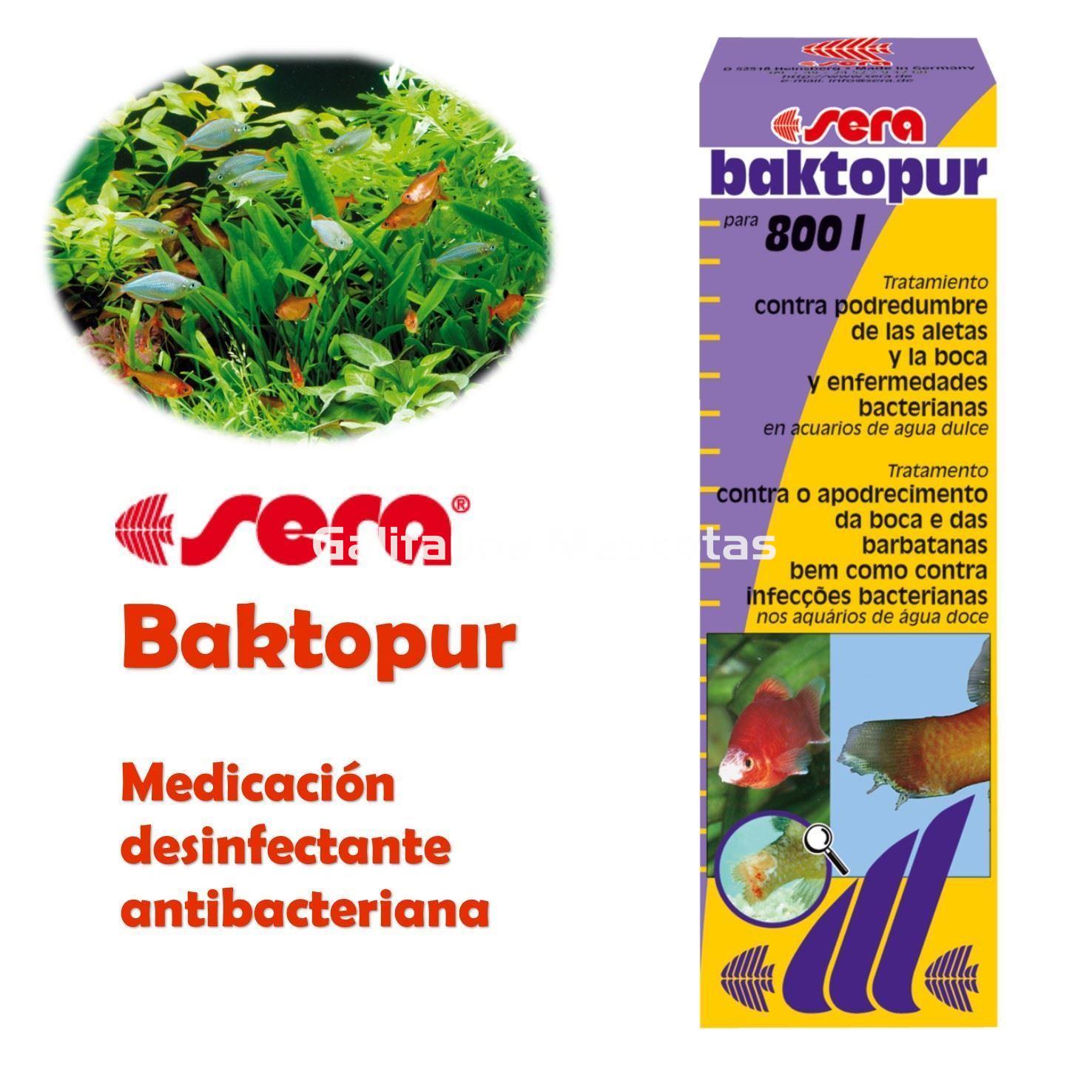 SERA Baktopur 50 ml. Medicacion anti-bacteriana - Imagen 1