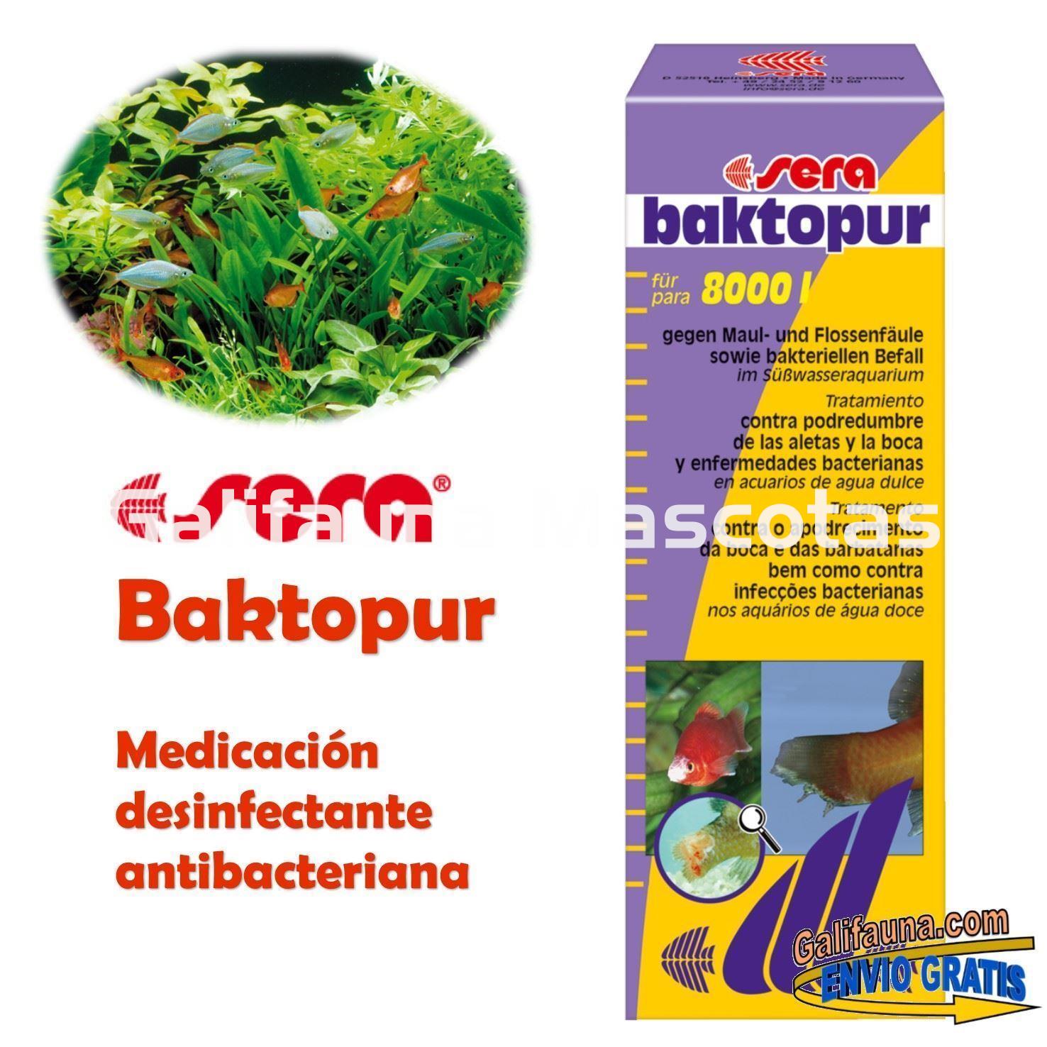 SERA Baktopur Grande 500 ml. Medicacion anti-bacteriana - Imagen 1