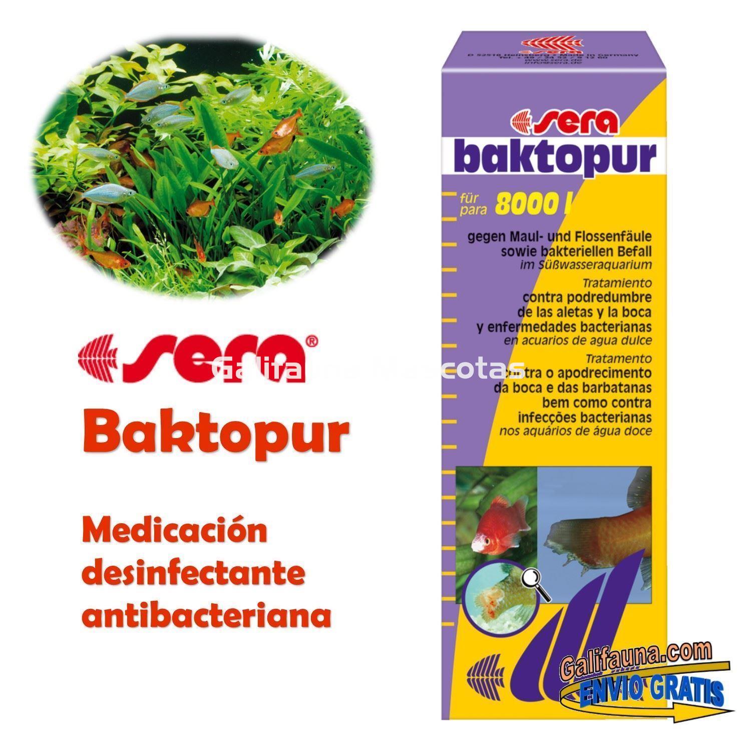 SERA Baktopur Grande 500 ml. Medicacion anti-bacteriana - Imagen 1