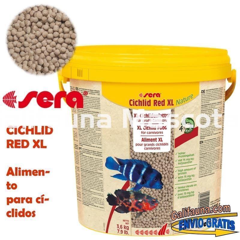 SERA Cichlid Red XL - Alimento para grandes ciclidos carnívoros. - Imagen 4