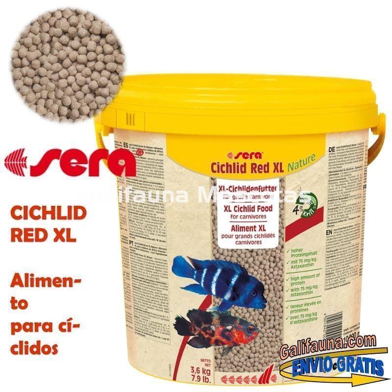 SERA Cichlid Red XL - Alimento para grandes ciclidos carnívoros. - Imagen 4