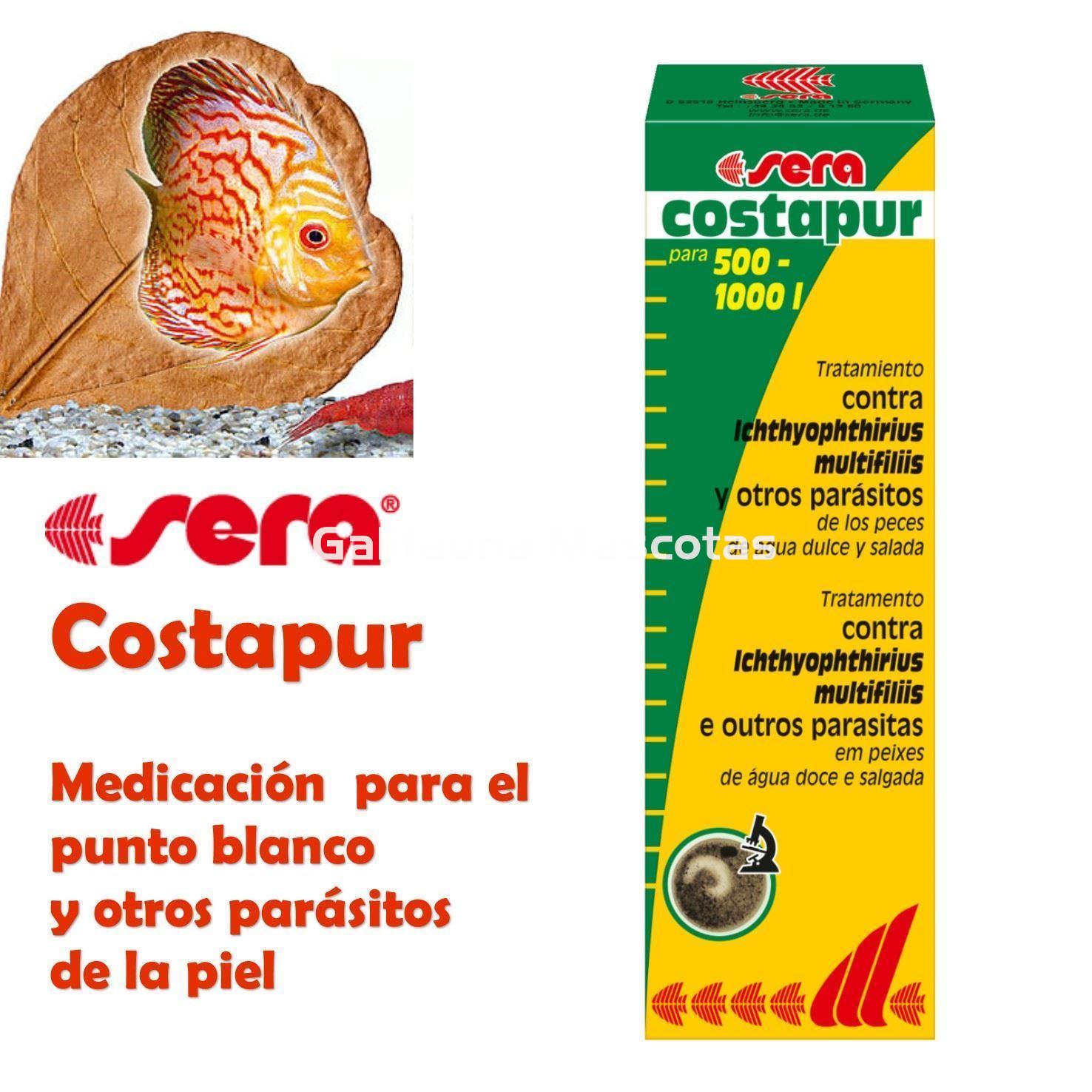 SERA Costapur 50 ml. Medicación contra punto blanco y otros - Imagen 1