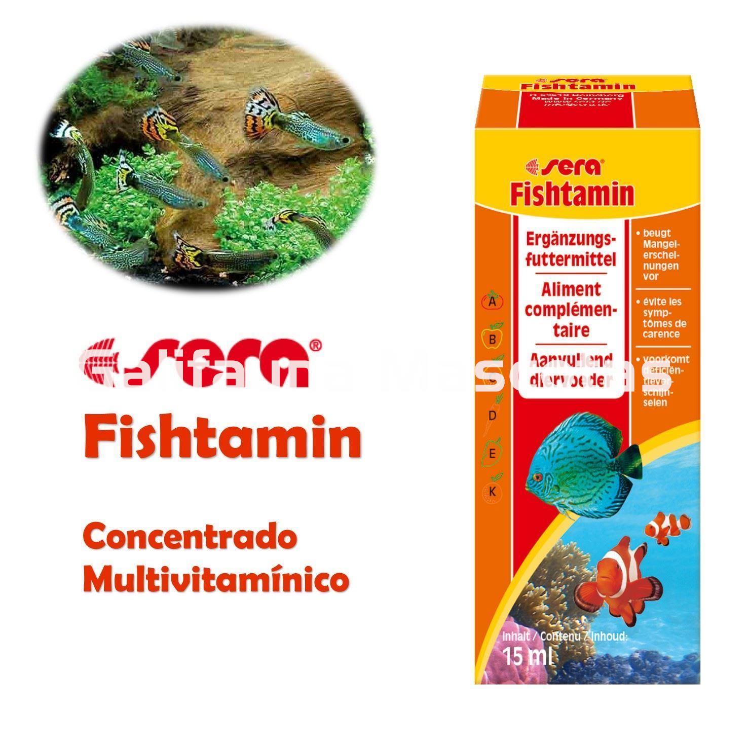 SERA fishtamin. Vitaminas para nuestros peces. - Imagen 1