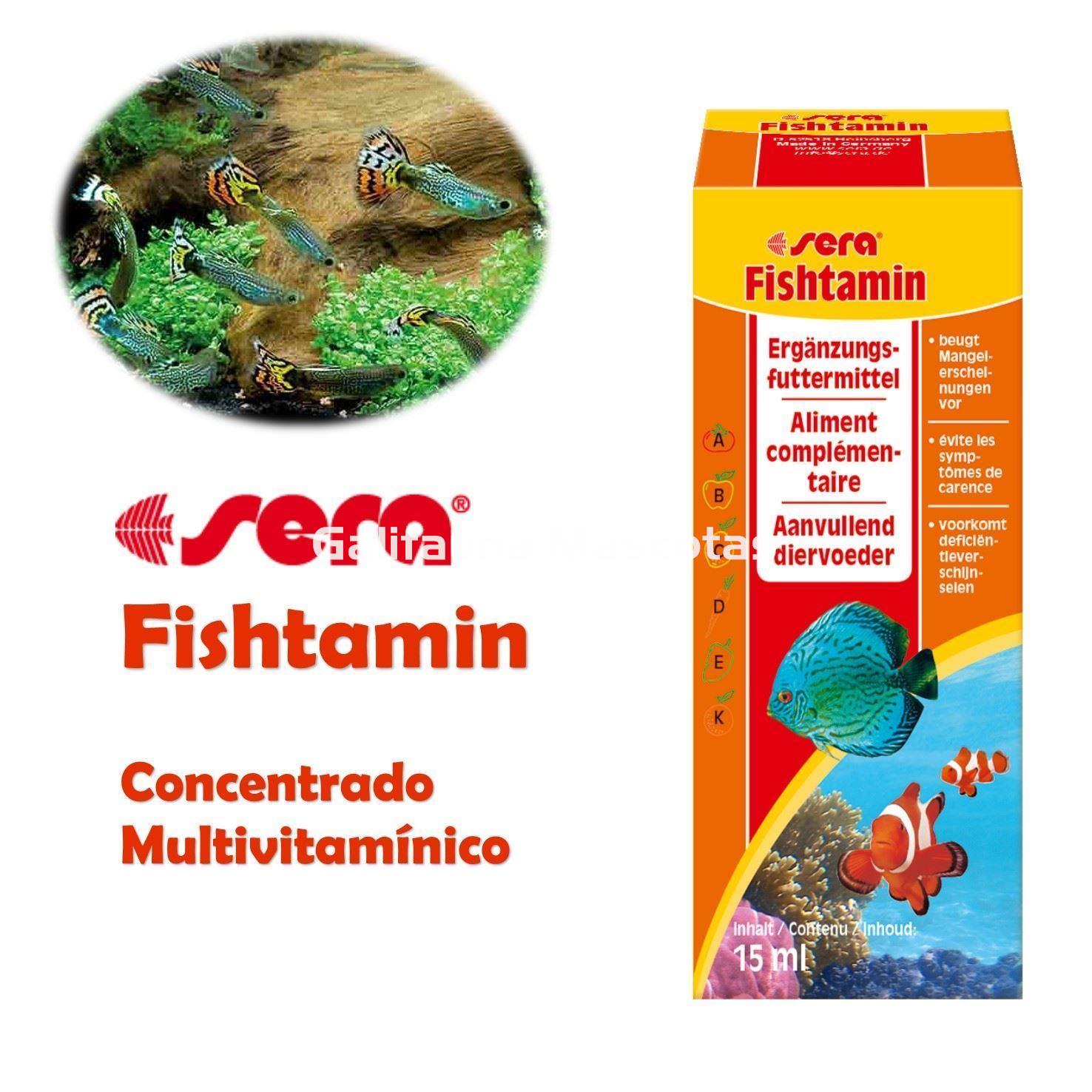 SERA fishtamin. Vitaminas para nuestros peces. - Imagen 1