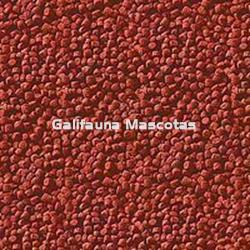 SERA Goldy gran BOTE GIGANTE. Granulado para carpas y otros peces agua fria - Imagen 2