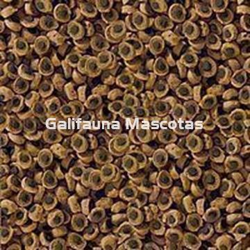 SERA Herbivor 10 litros . Alimentacion para Reptiles herbivoros - Imagen 2