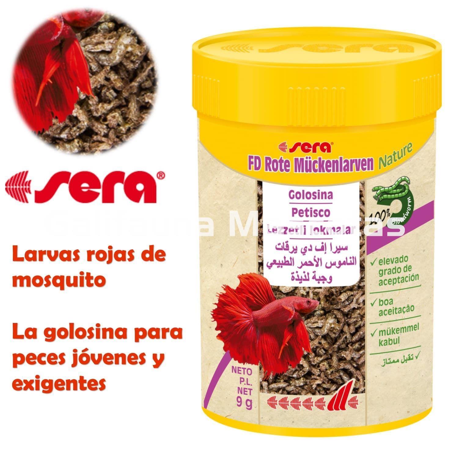 SERA Larvas rojas de mosquito 100 ml. Complemento alimenticio. - Imagen 1