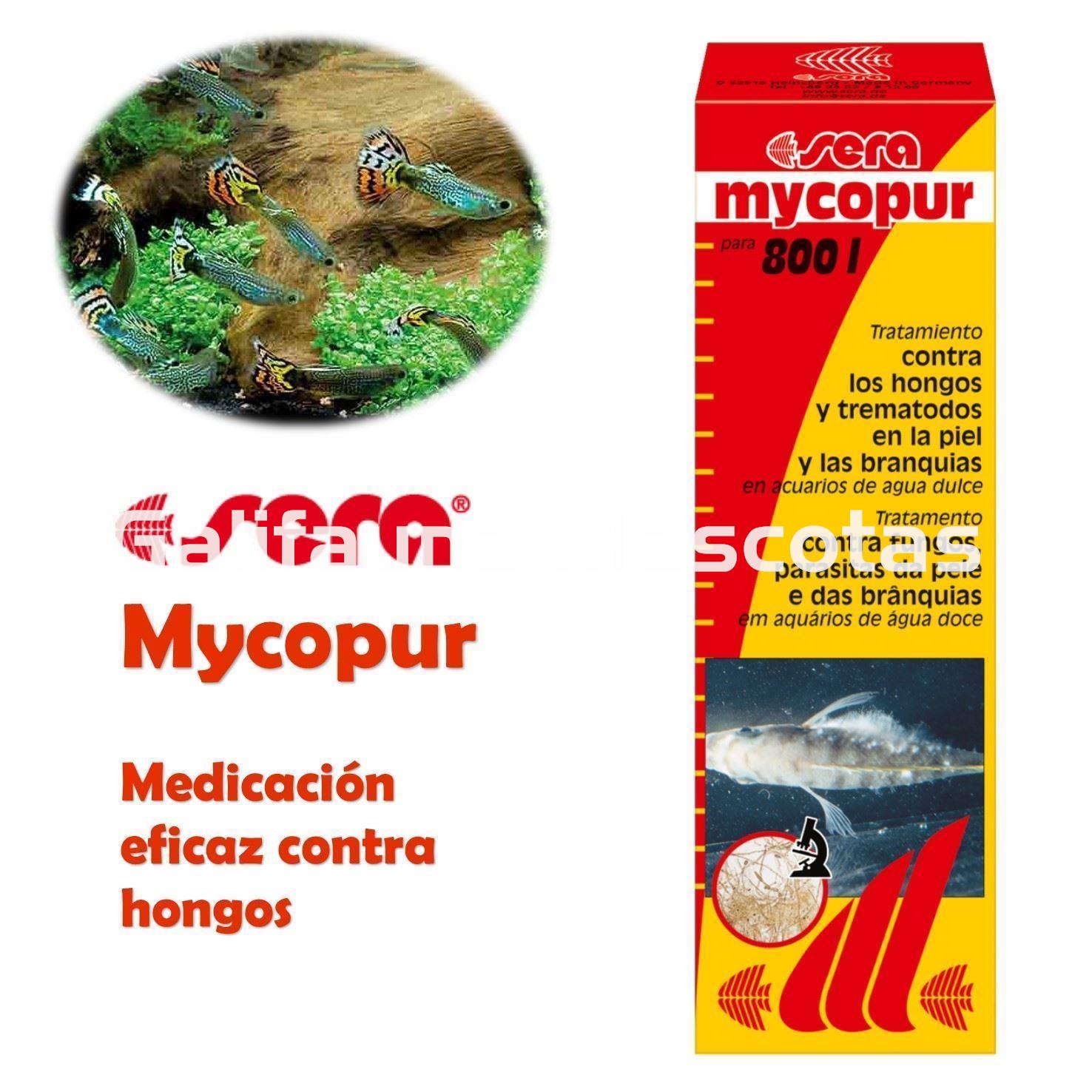 SERA Mycopur 50 ml. Medicacion contra Hongos - Imagen 1