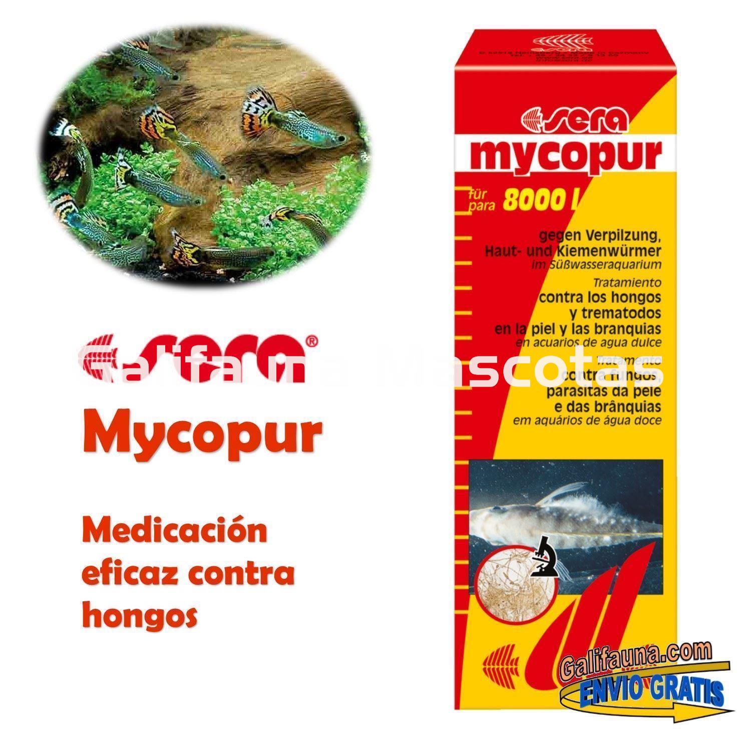 SERA Mycopur Grande 500 ml. Medicacion contra Hongos - Imagen 1