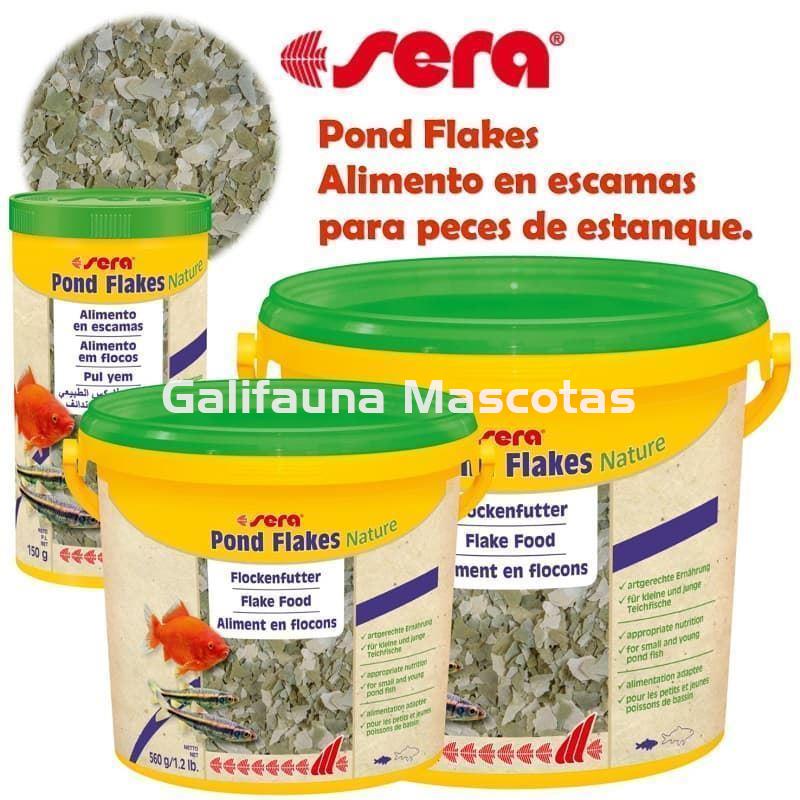 SERA Pond flakes Varias medidas. Alimento en escamas peces de estanque. - Imagen 1