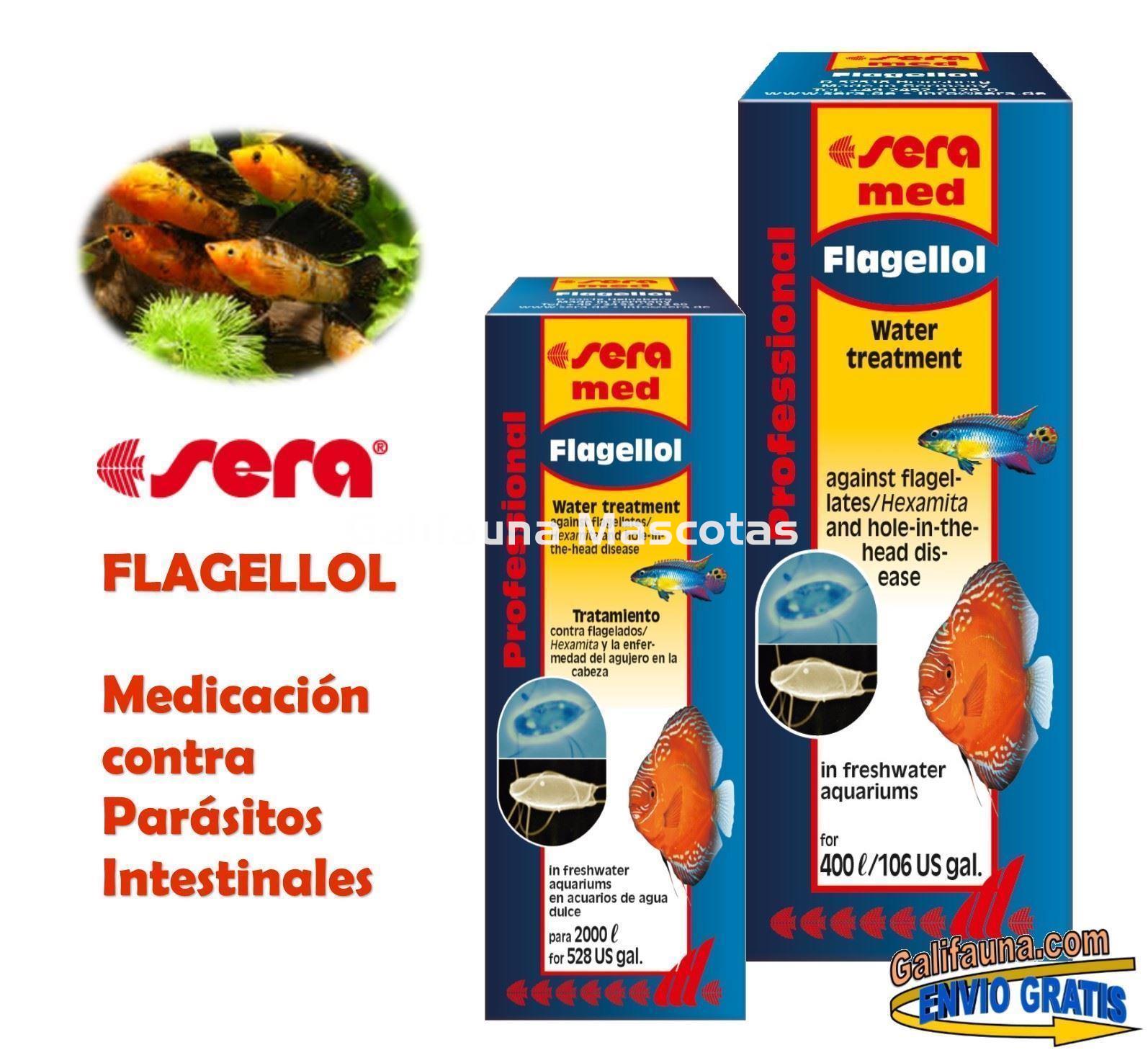 SERA Professional Flagellol. Medicación profesional para peces. - Imagen 1