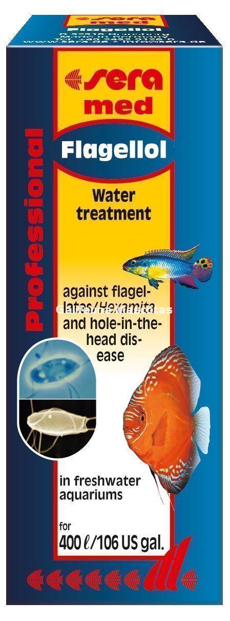 SERA Professional Flagellol. Medicación profesional para peces. - Imagen 2