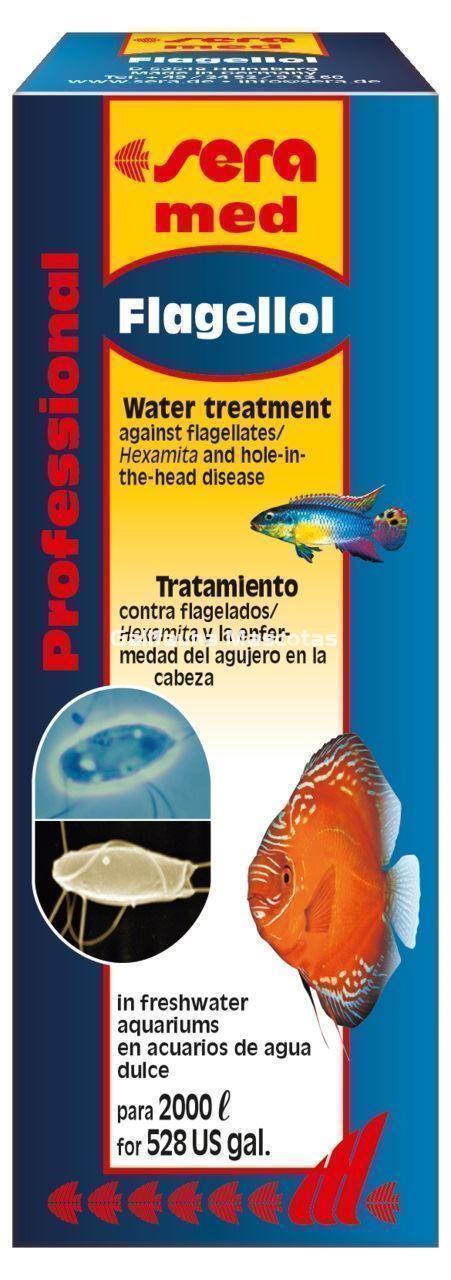 SERA Professional Flagellol. Medicación profesional para peces. - Imagen 3