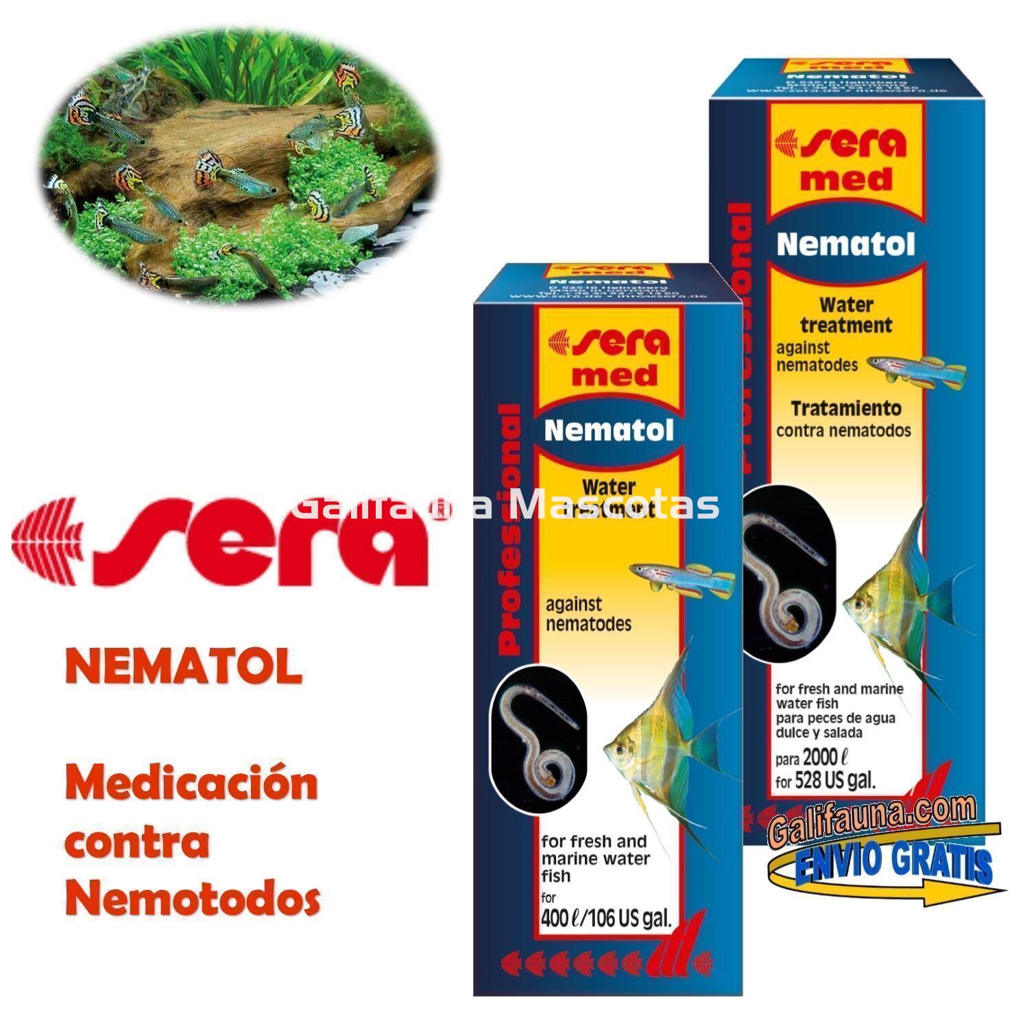 SERA Professional Nematol. Medicación profesional para peces. - Imagen 1