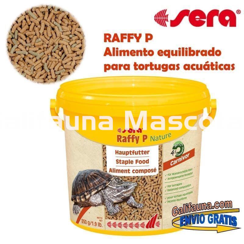 SERA Raffy P 3800 ml. Alimento Tortugas Sticks pienso - Imagen 1
