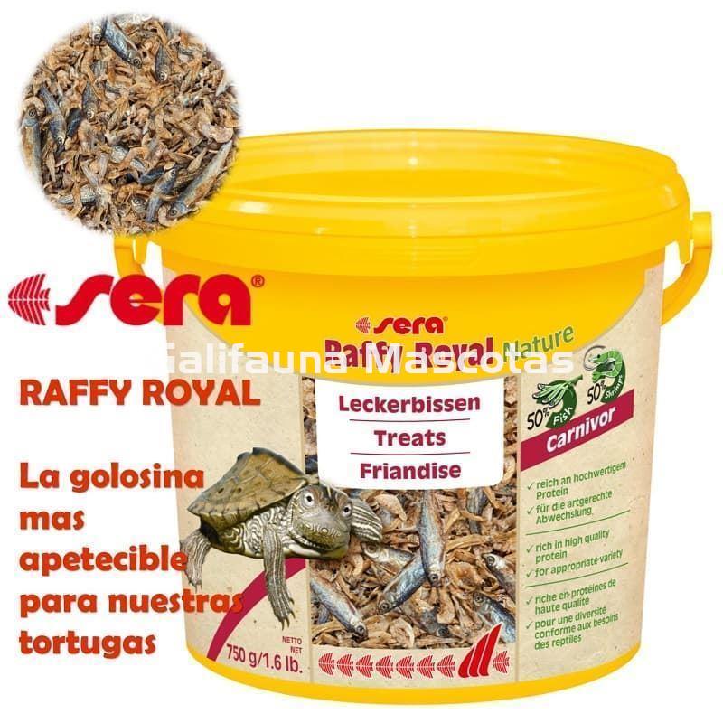 SERA Raffy Royal Nature