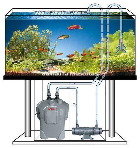 SERA Sistema de lámpara UVC 55 X. Clarificador de agua UV-C - Imagen 3