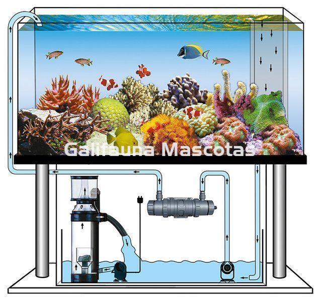 SERA Sistema de lámpara UVC 55 X. Clarificador de agua UV-C - Imagen 4